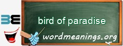 WordMeaning blackboard for bird of paradise